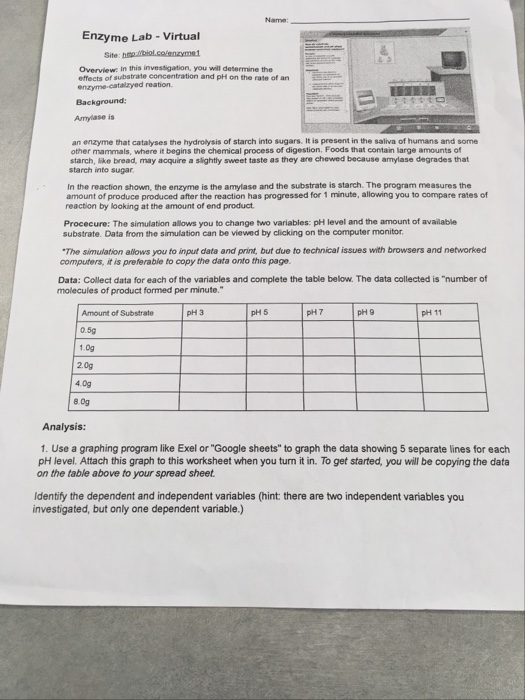 Solved Name Enzyme Lab Virtual Site h biol.colenzyme1