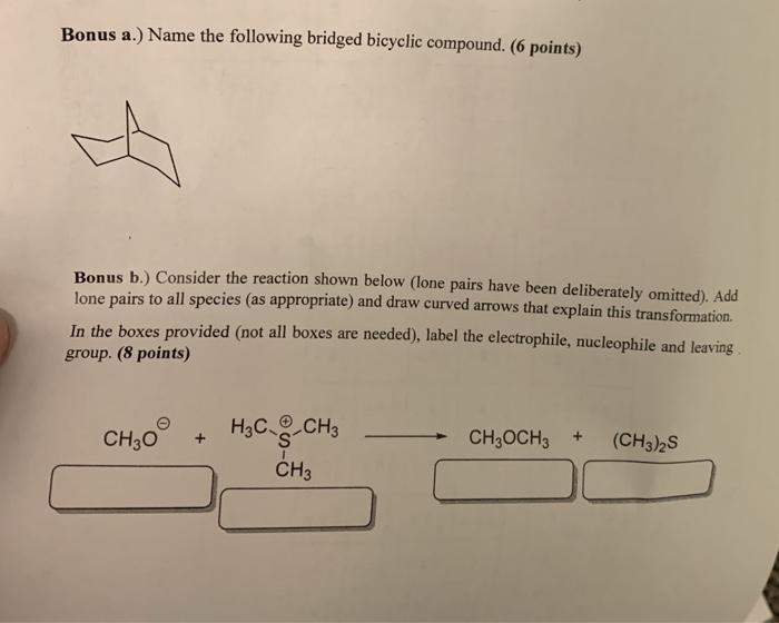 Solved Bonus A.) Name The Following Bridged Bicyclic | Chegg.com