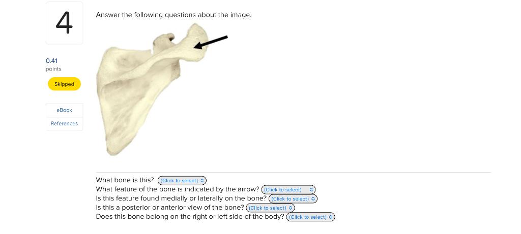 Solved Answer the following questions about the image. What | Chegg.com