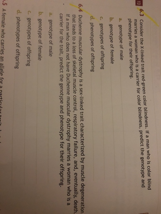 Solved 6 3 Consider The X Linked Trait Red Green Color Bl