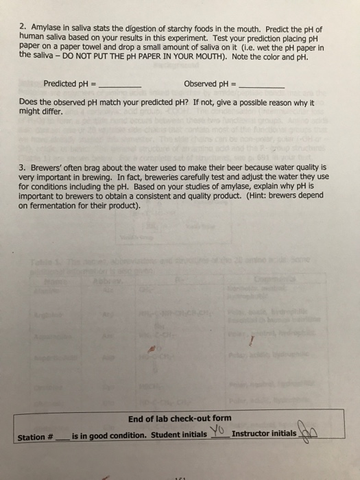 Experiment 11 Lab Report ENzYMES HYDROLYsIS oF