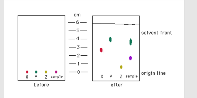 Solved cm -6- 5- solvent front 4 -32 N X Y Z sample before X | Chegg.com