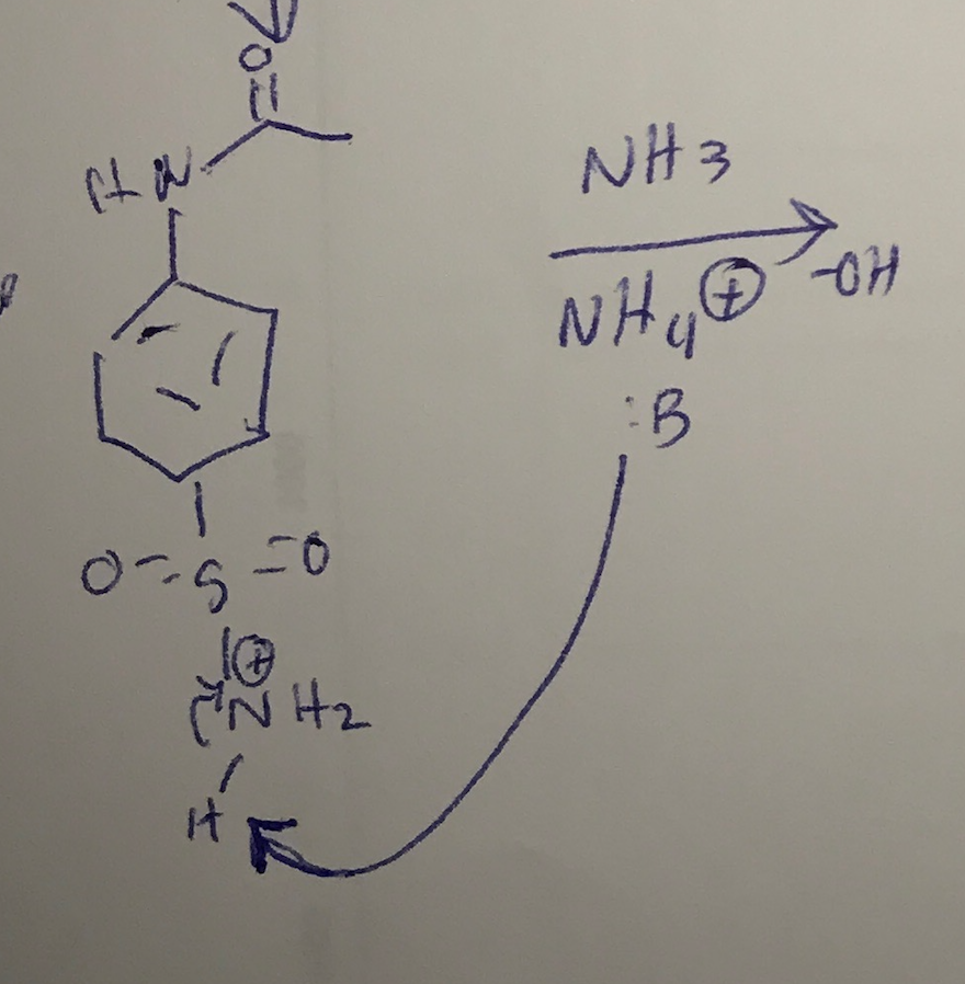 Solved What is the base used to deprotonate this molecule | Chegg.com