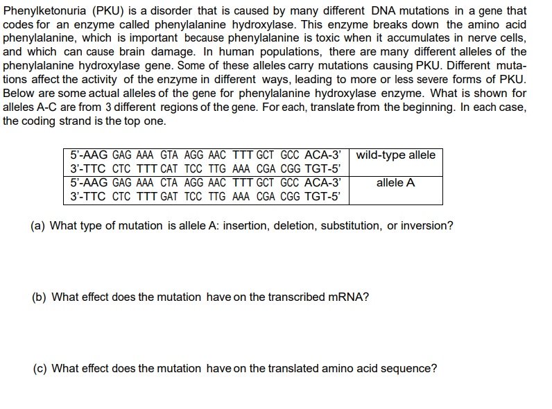 pku cause and effect