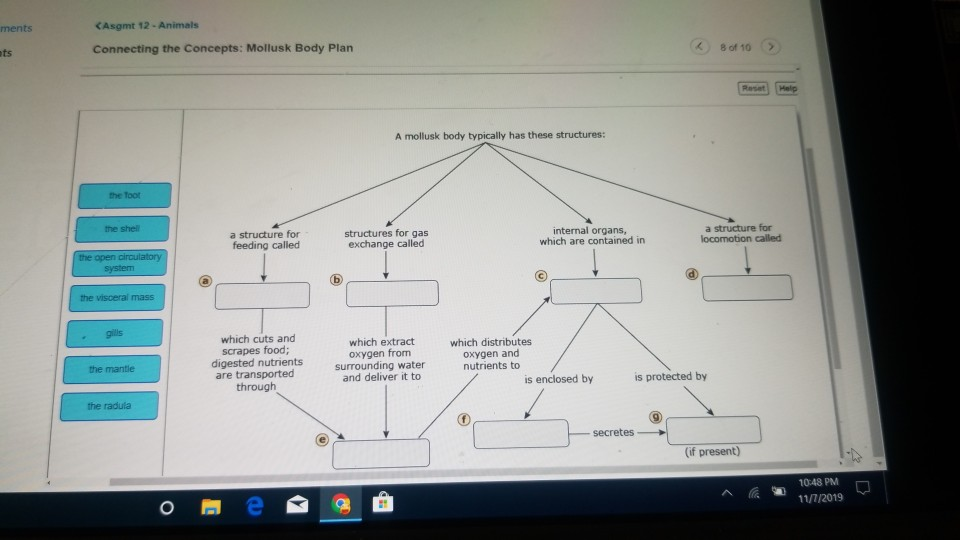 solved-ments-kasgmt-12-animals-ts-connecting-the-concepts-chegg
