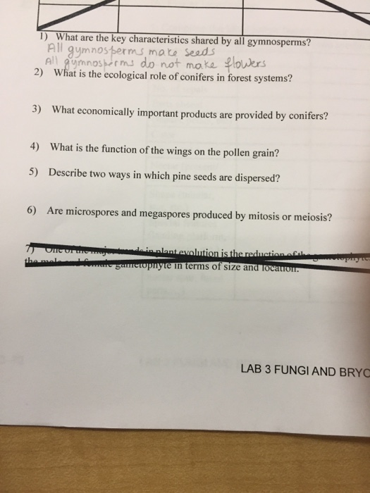 Solved 1) What are the key characteristics shared by all