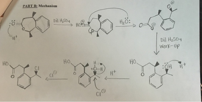 experiment 16 organic chemistry