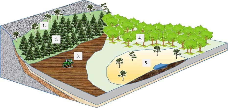 Please help me. The landscape below exemplifies how | Chegg.com