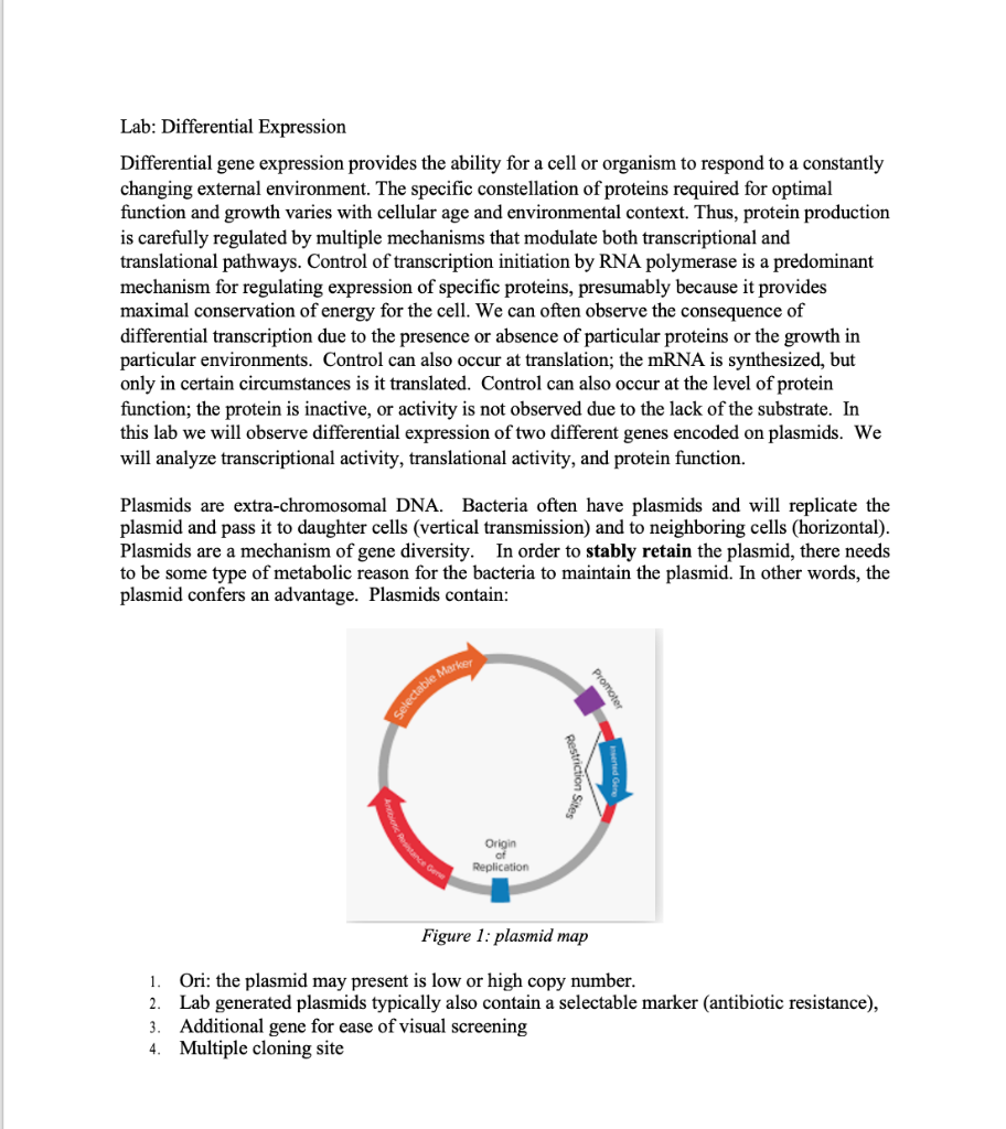 Lab: Differential Expression Differential Gene | Chegg.com