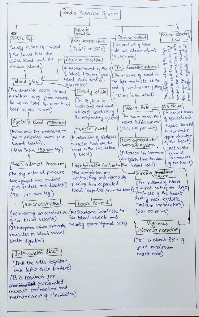 Solved Create a concept map. You must include, but are | Chegg.com