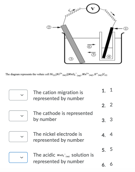Solved www The diagram represents the voltaic cell Nic, | Chegg.com