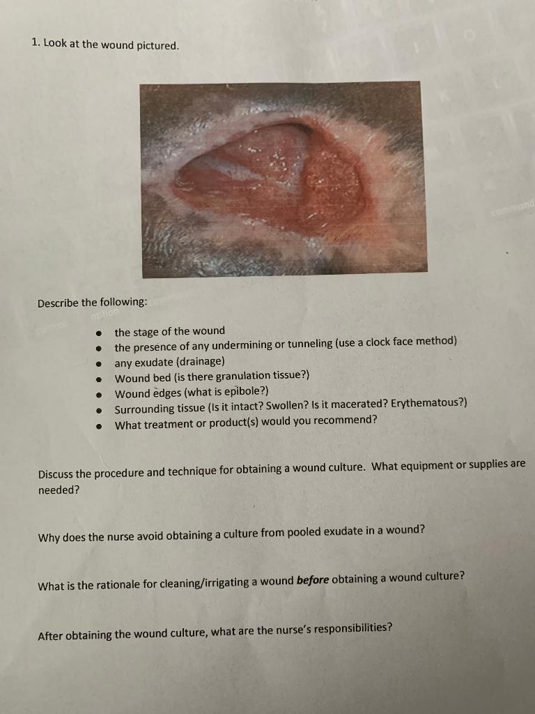 Solved 1. Look at the wound pictured. Describe the