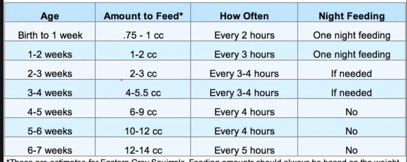 6 week old feeding every best sale 2 hours