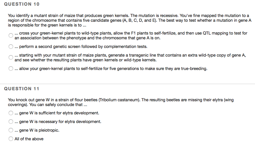 Solved QUESTION 21 You have a strain of lab rats that gain | Chegg.com