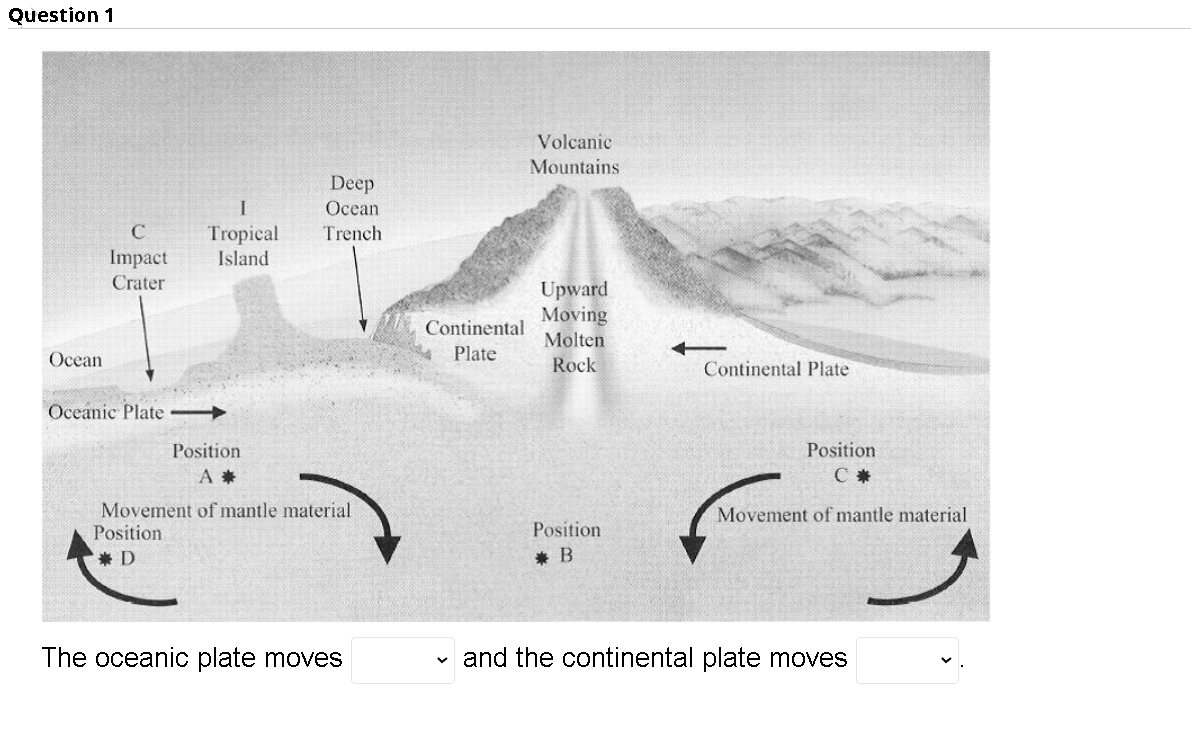 Question 1 The oceanic plate moves and the | Chegg.com