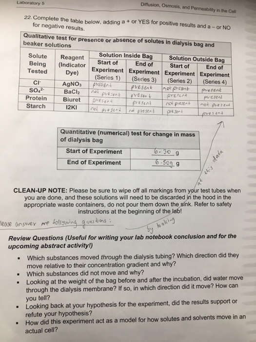 Lab Activities Osmosis And Diffusion Through Dialysis Chegg