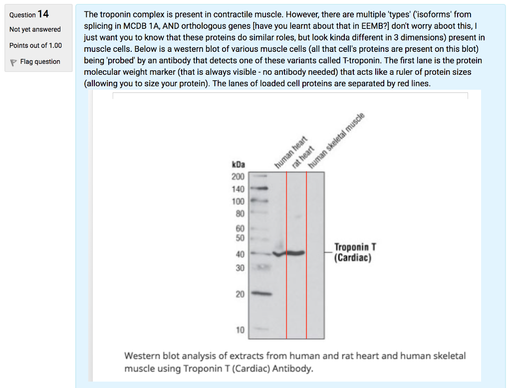 Solved Question 13 Not yet answered Points out of 1.00 Below