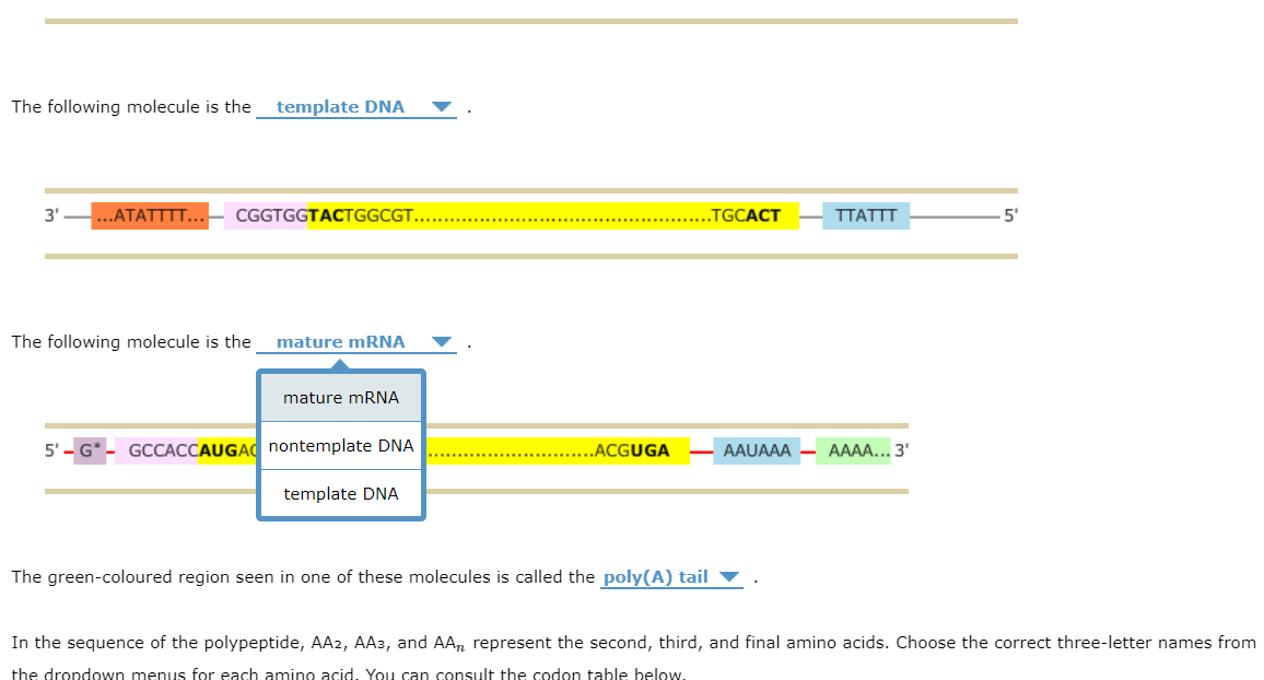 Solved 1. Deciphering the DNA and RNA code In the first part | Chegg.com