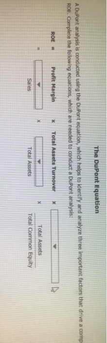 Solved The DuPont Equation A DuPont Analysis Is Conducted | Chegg.com