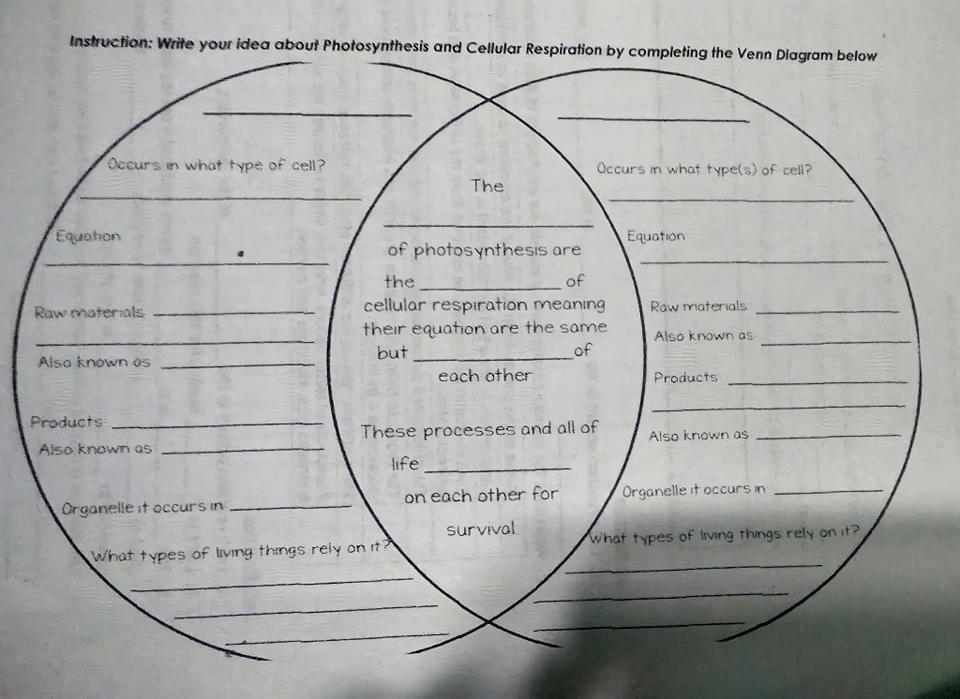 Instruction: Write your idea about Photosynthesis and Cellular Respiration by completing the Venn Diagram below
Occurs in wha