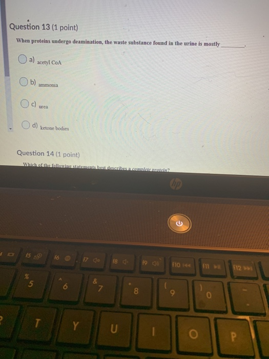 Solved The filtration membrane includes all except 3 a)