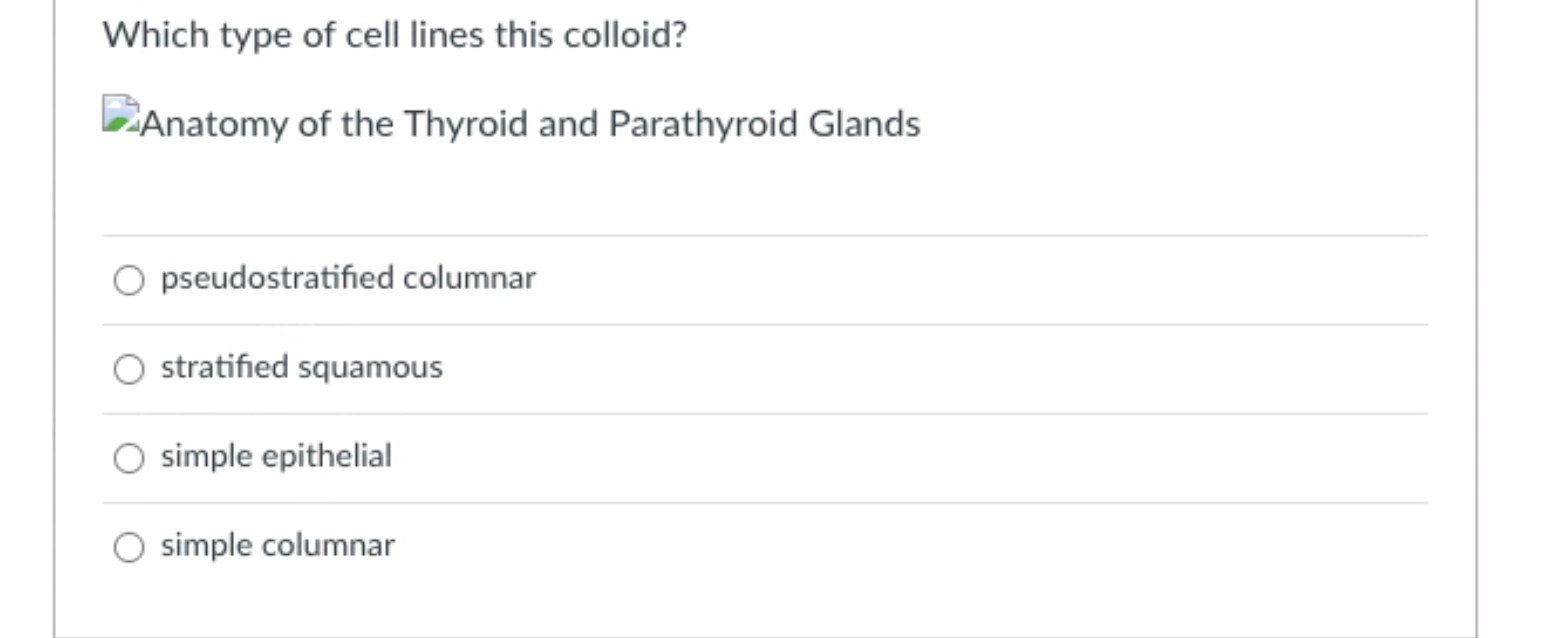 Solved Which type of cell lines this colloid? Anatomy of the