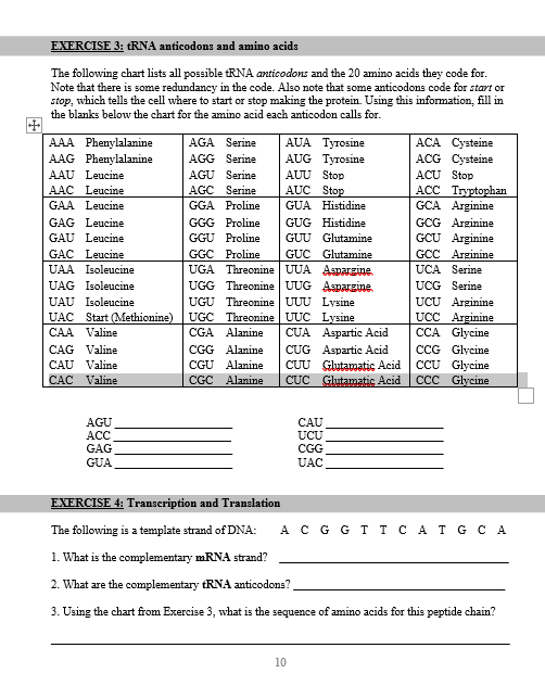 Solved EXERCISE 3: tRNA anticodons and amino acids The | Chegg.com