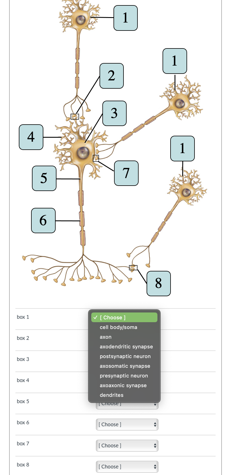 Solved Question | Chegg.com