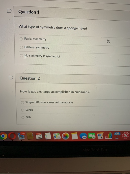 Solved D Question 1 What type of symmetry does a sponge