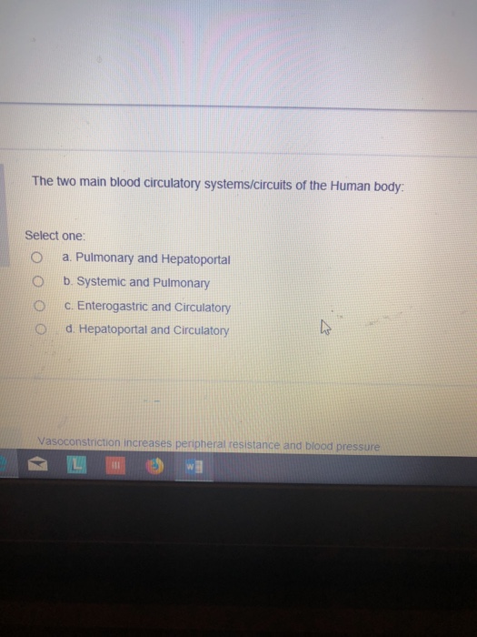 the two main blood circulatory system circuits of the human body