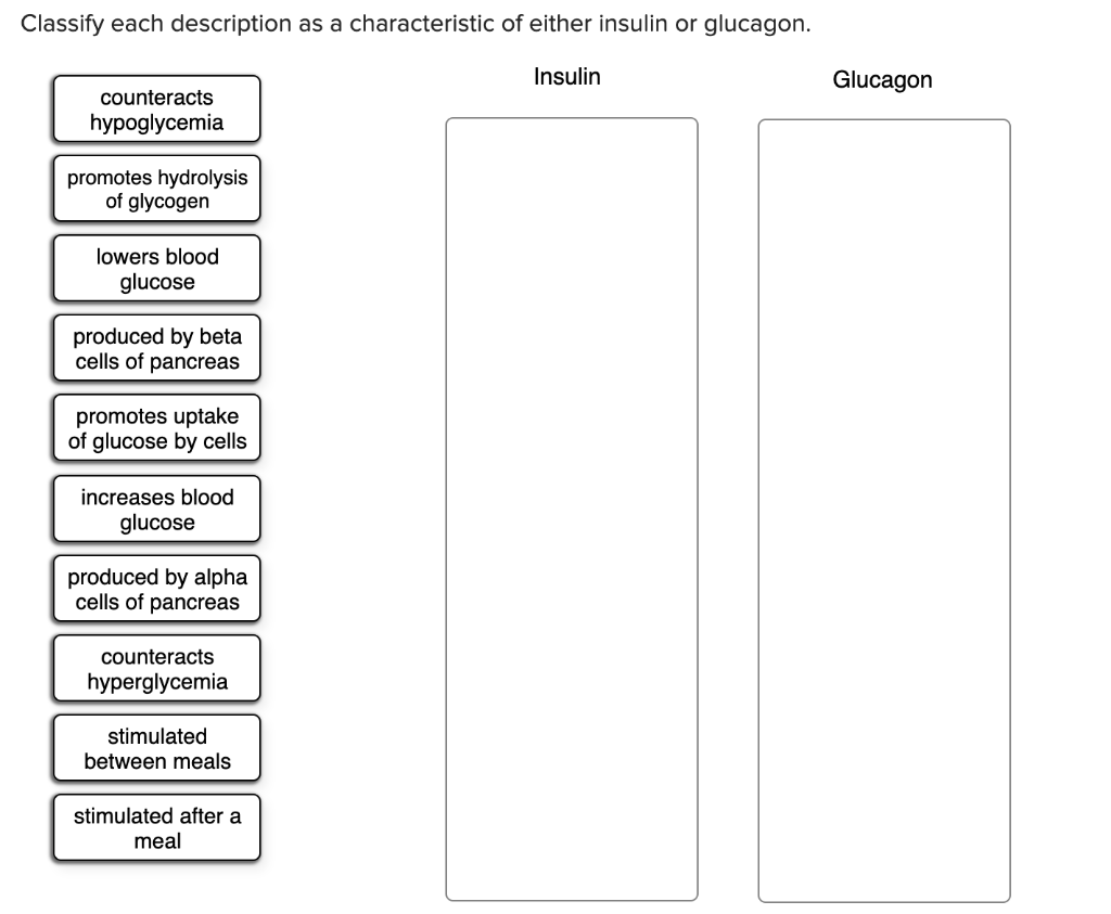 Solved Classify each description as a characteristic of | Chegg.com
