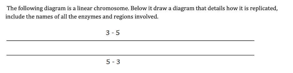 Solved The following diagram is a linear chromosome. Below | Chegg.com