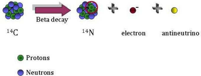 Solved After 3,254 years, the parent isotope will decay to | Chegg.com