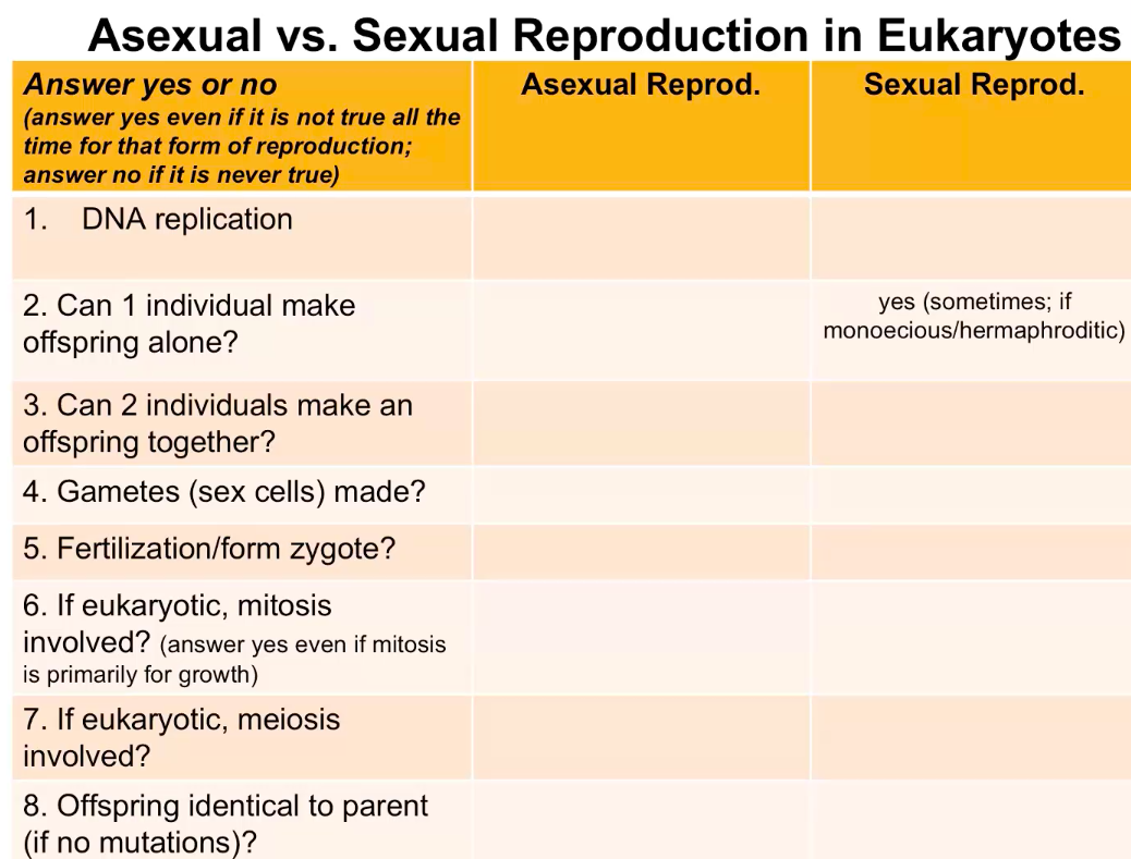 Solved Asexual vs. Sexual Reproduction in Eukaryotes Answer | Chegg.com