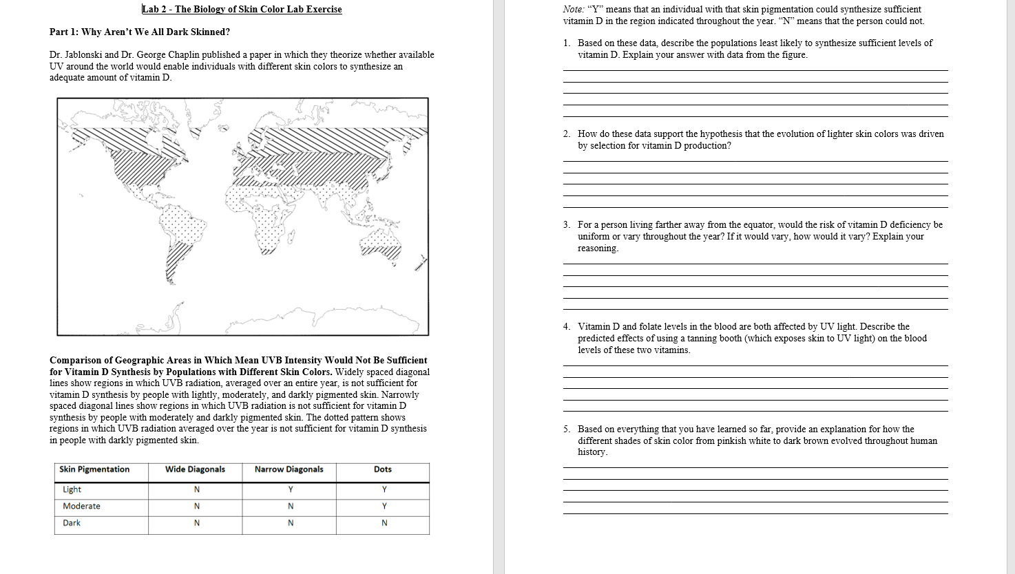 Lab 2 - The Biology of Skin Color Lab Exercise Note: | Chegg.com