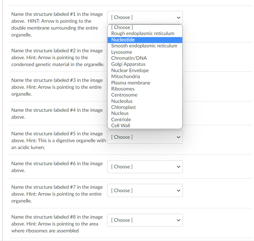 Solved Use the image below to match the labeled features of | Chegg.com