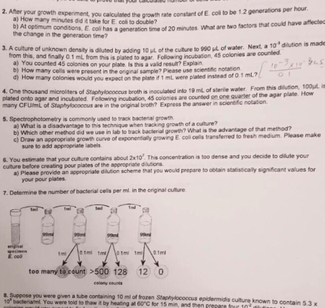 e coli growth experiment