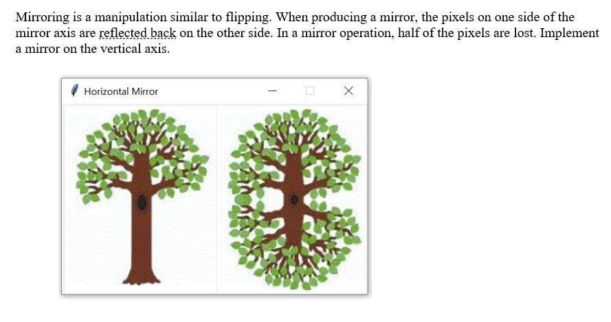 Solved Mirroring is a manipulation similar to flipping. When | Chegg.com