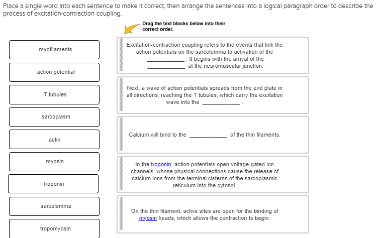 solved-place-a-single-word-into-each-sentence-to-make-it-chegg