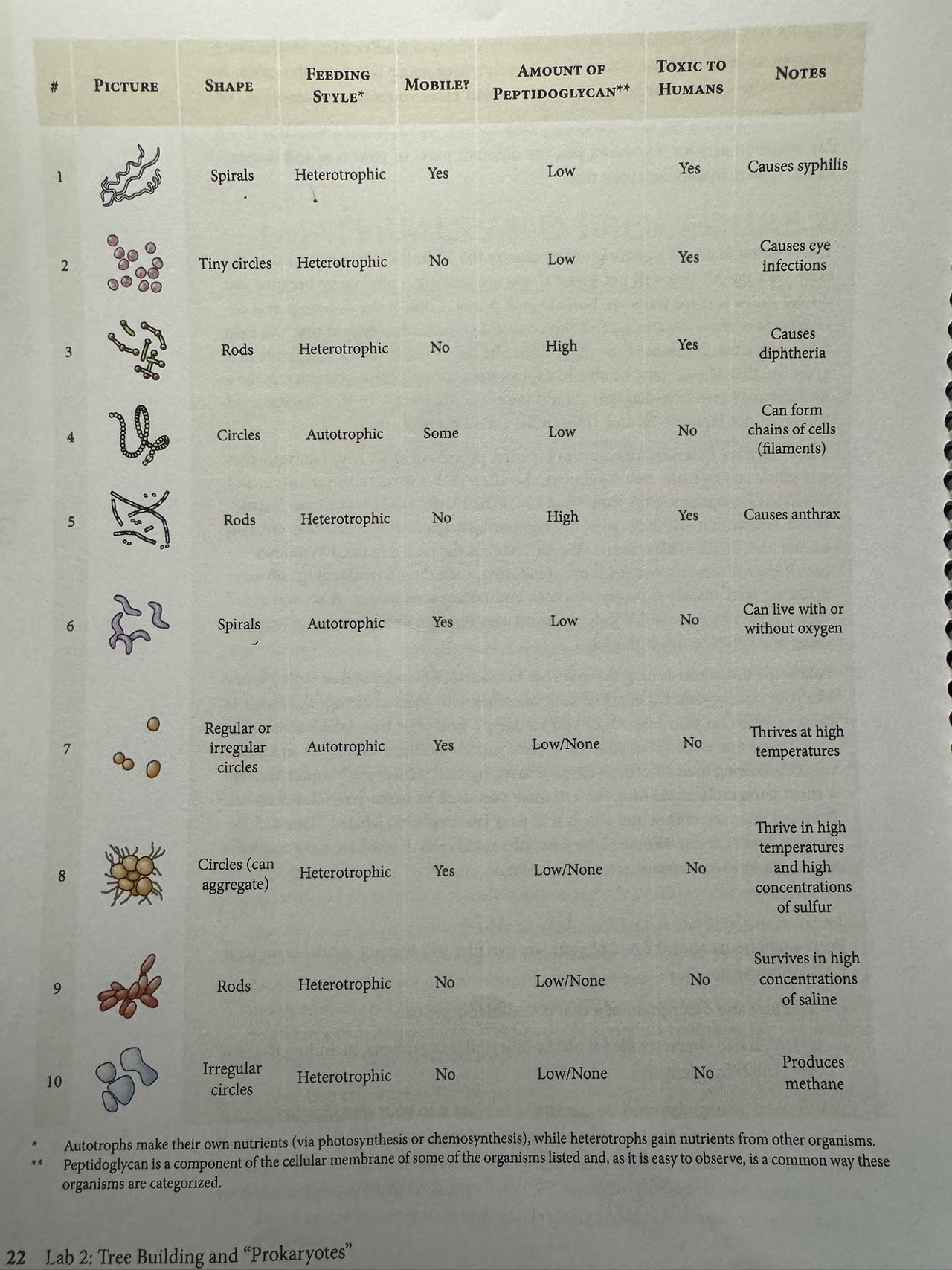 Solved use the image i give to make a simple dichotomous | Chegg.com