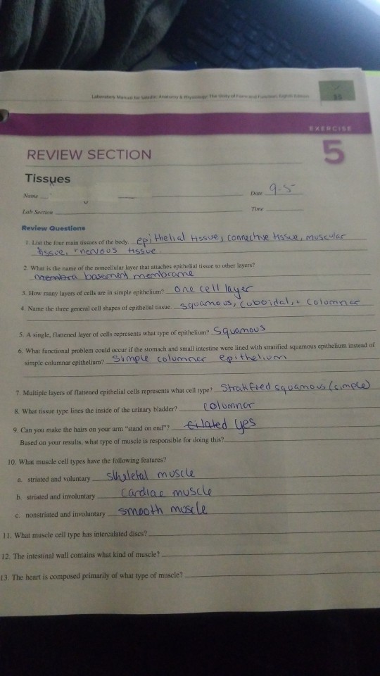 Solved 5 REVIEW SECTION Tissues Name Daw Time Lab Secnion | Chegg.com