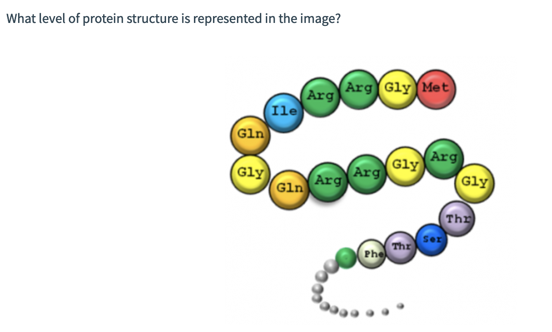 Solved What level of protein structure is represented in the | Chegg.com
