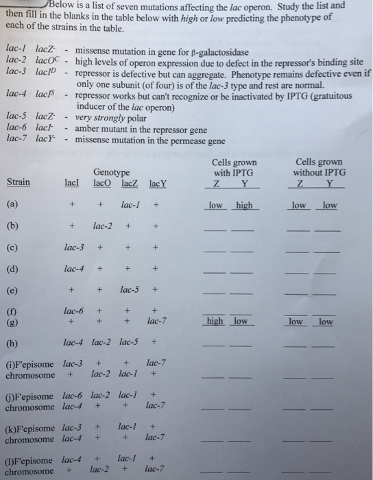 Solved Below is a list of seven mutations affecting the lac | Chegg.com