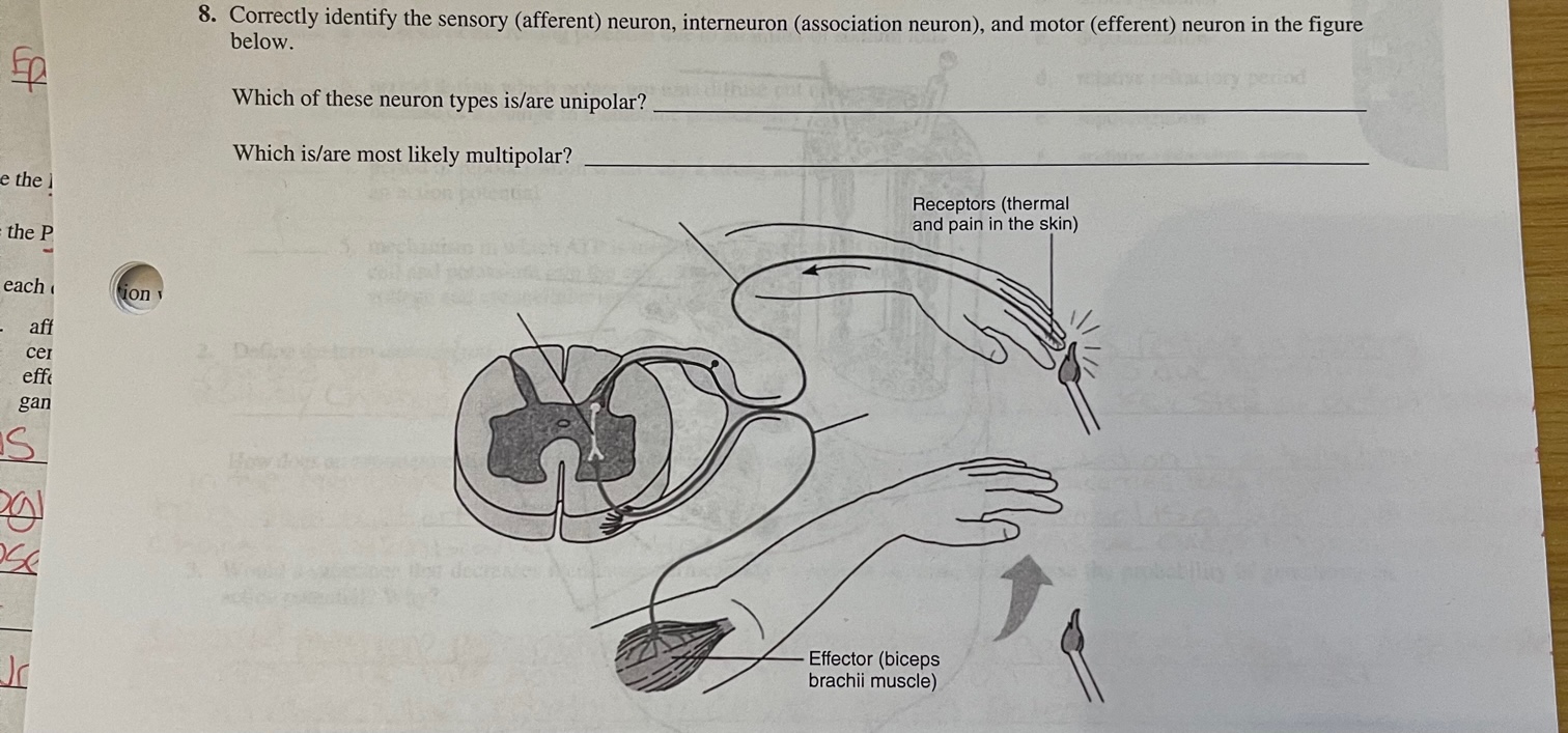 student submitted image, transcription available below