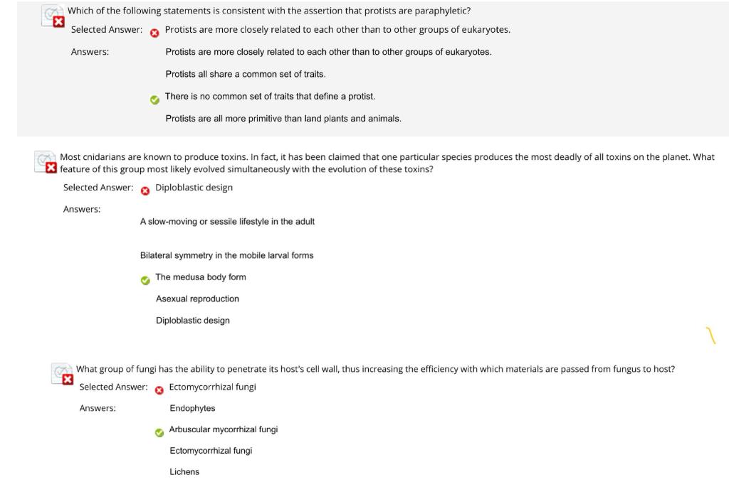 Solved came you please explain each question why the answer | Chegg.com