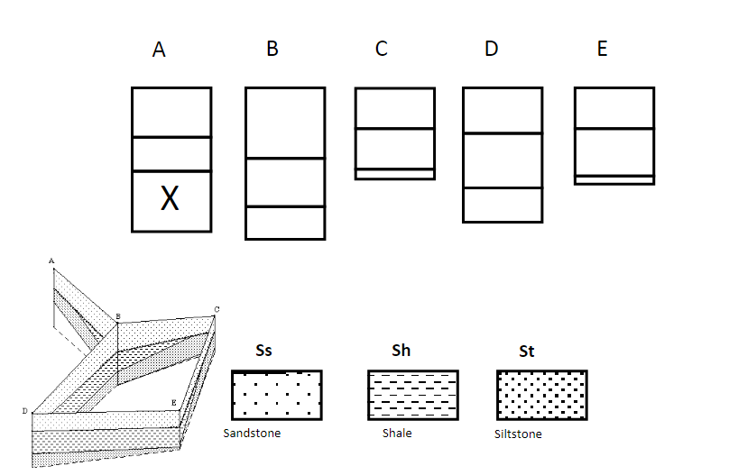 To help you start to see the connections between | Chegg.com