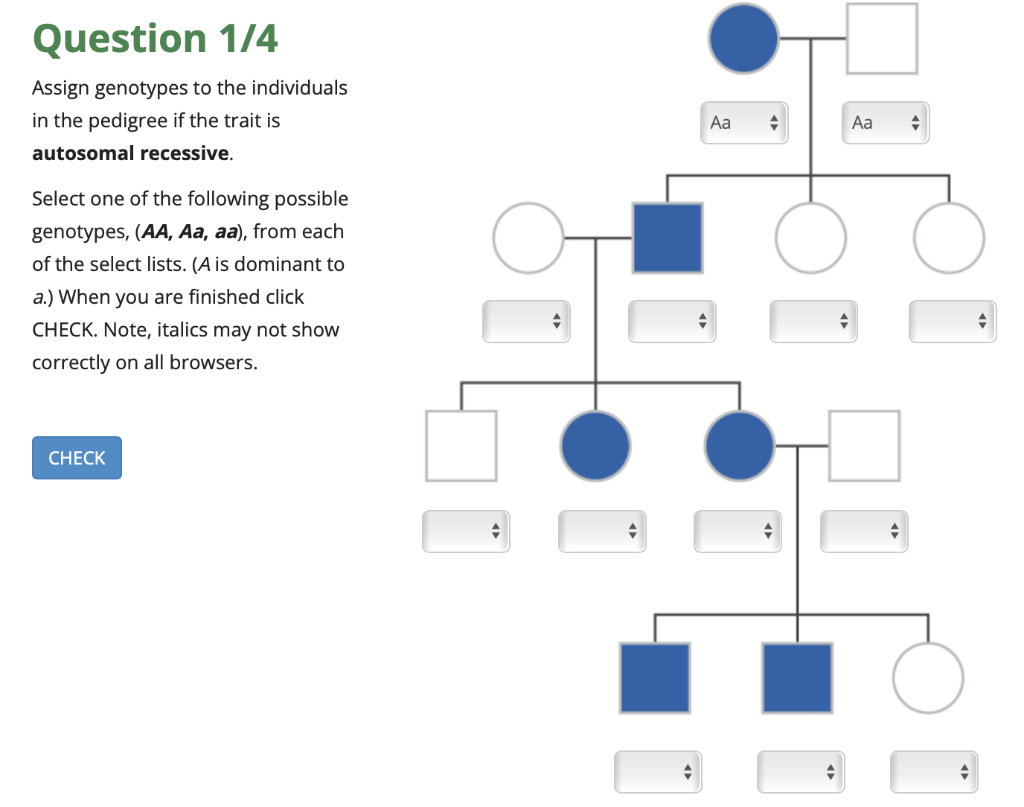 Solved Question 1/4 Assign genotypes to the individuals in | Chegg.com