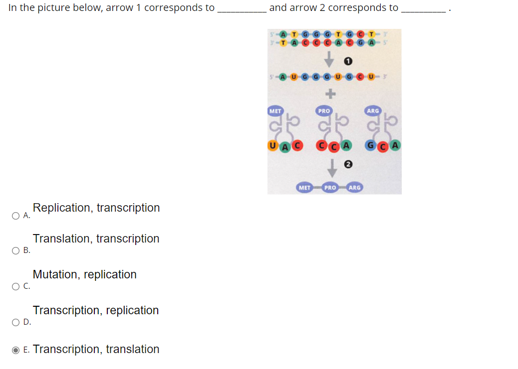 solved-in-the-picture-below-arrow-1-corresponds-to-and-chegg