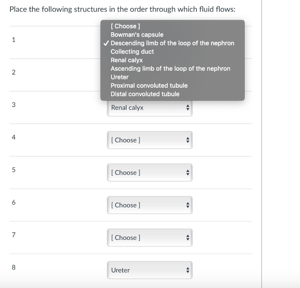 Solved Place the following structures in the order through | Chegg.com