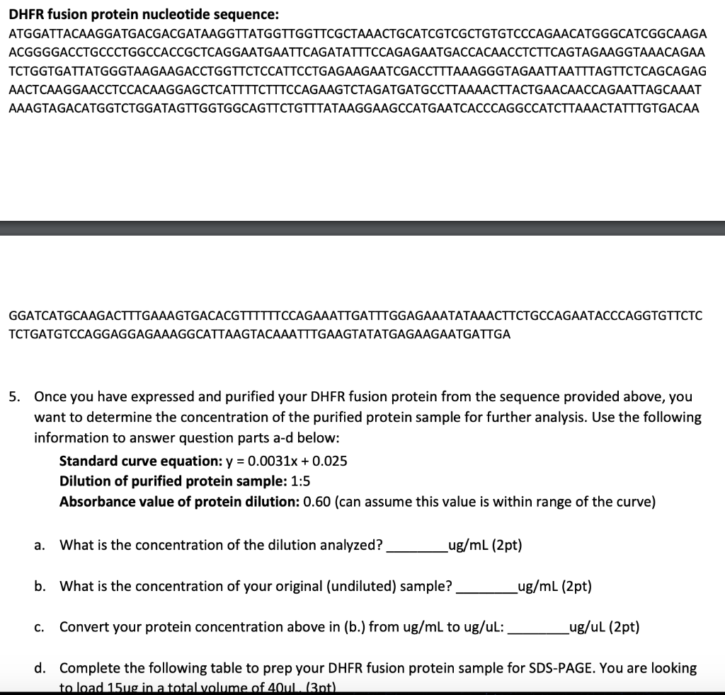 Solved DHFR fusion protein nucleotide sequence: | Chegg.com